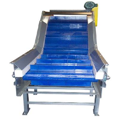 Plastic Belt Conveyor