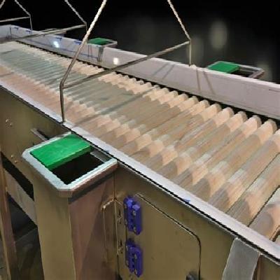 Mild Steel Inspection Conveyor