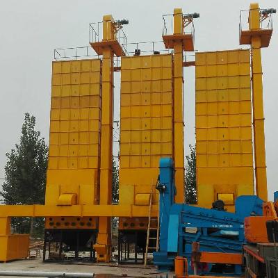 Pulses Seed Dryer Machine