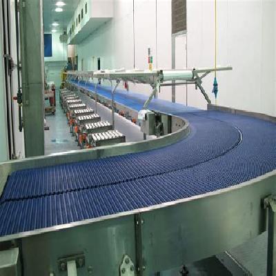 Plastic Belt Conveyor