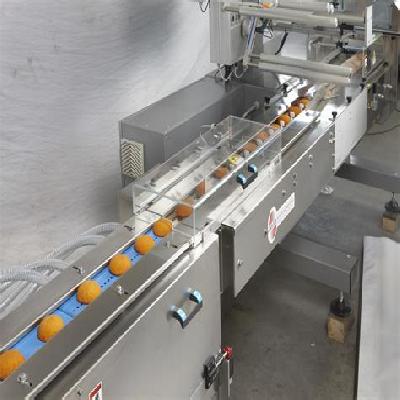 Flow Wrap Machine