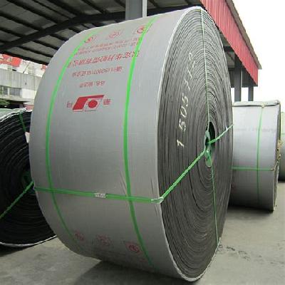 Acid Resistant Conveyor Belt