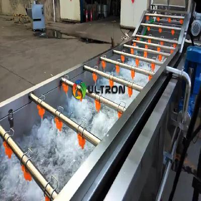 Vegetable and Fruit Washing Conveyor