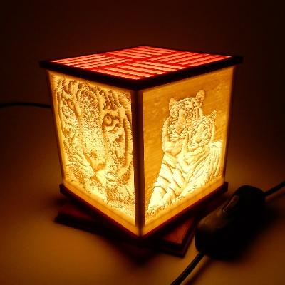 Illumination Box