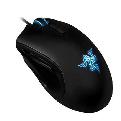 Mouse