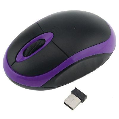 Computer Mouse