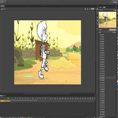 Customised Flash Animation
