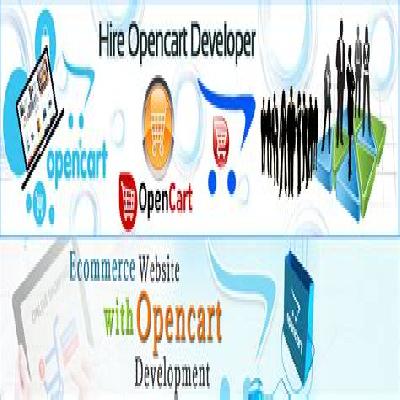 Opencart Developer