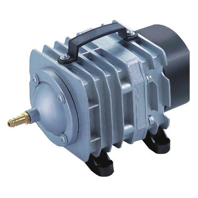 Industrial Air Pump