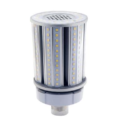 LED 54W Site Lamp