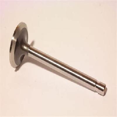 Intake Valve