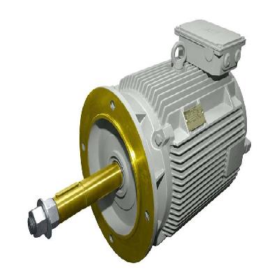 Cooling Tower Motor Standard and Flameproof
