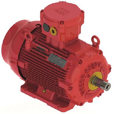 Flameproof Motor