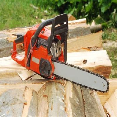Electric Chain Saw