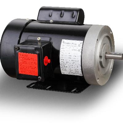 Single Phase Bear Motor 