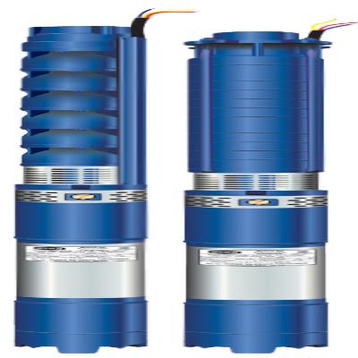 Submersible Pump Set