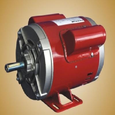 Godrej Lawkim 1 Phase 1.5 HP 4 Pole Foot Mounted Induction Motor