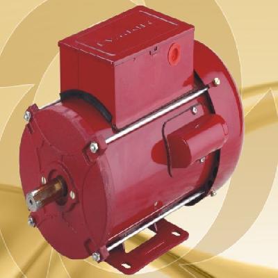 Godrej Lawkim 1 Phase 2 HP 2 Pole Flange Induction Motor