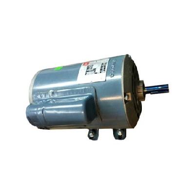 Havells 1 HP Single Phase Motor,
