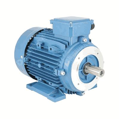 Havells  Foot Cum Flange Motors
