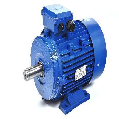3 Phase Electric Motor