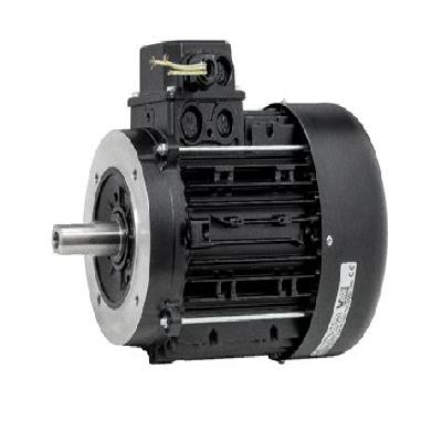 Three Phase Motors