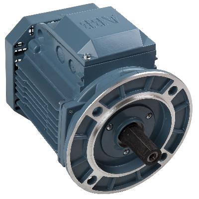 Abb Flange Mounted Ac Motors