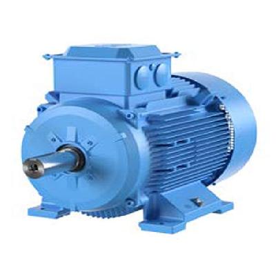Abb Induction Motor