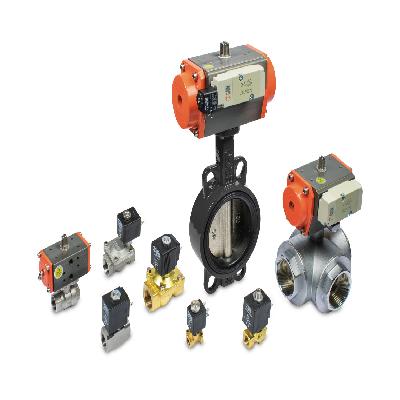 Multiple-Fluid Process Valves