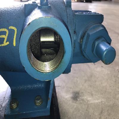 CI Gear Pumps