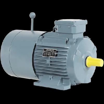 Electric Motor Havells
