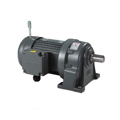 Geared Brake Motors