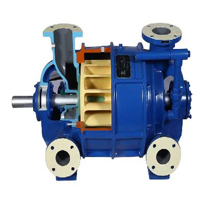 Liquid Ring Vacuum Pumps and Compressors