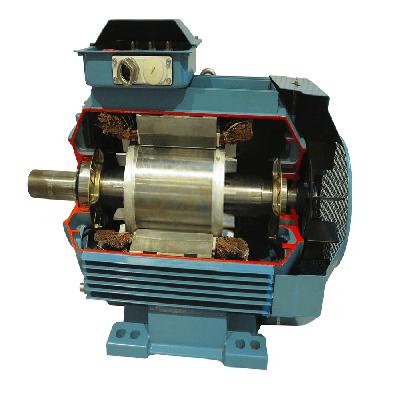 Three Phase Induction Motor