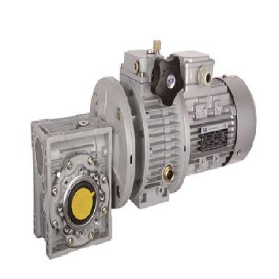 Worm Gear Motor