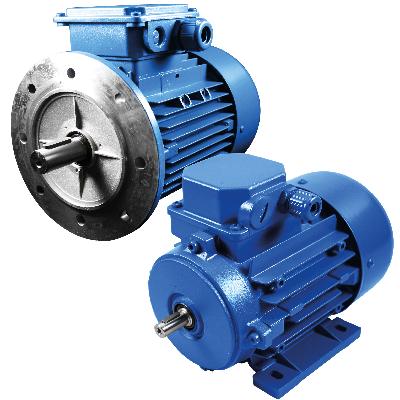 AC Induction Motor