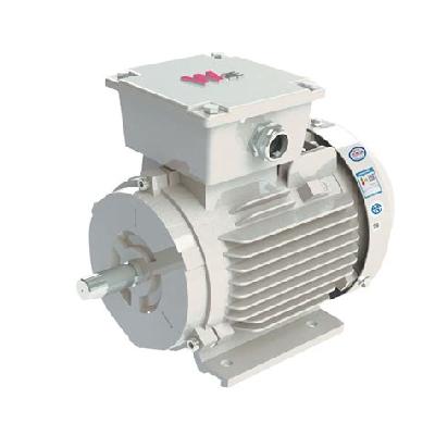High Efficiency Flameproof Motors