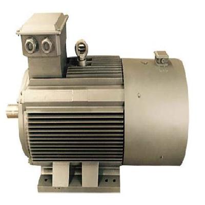 IE2 Induction Motors