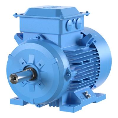 ABB Flame Proof Motors