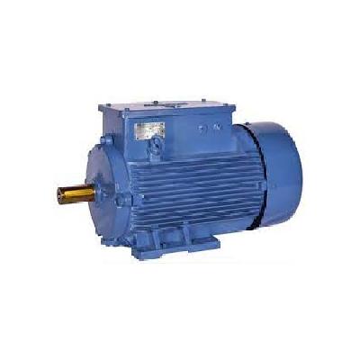 BBL Crane Duty Motors