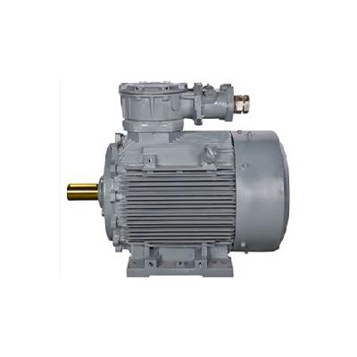 BBL Flame Proof Motors