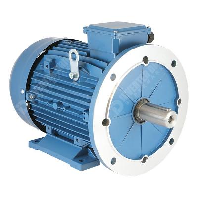 BBL IE2 Motors