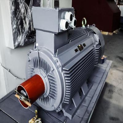 BBL Slip Ring Motors