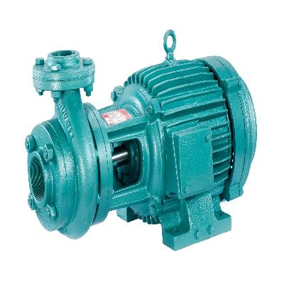 Johnson Combibloc Monoblock Pumps