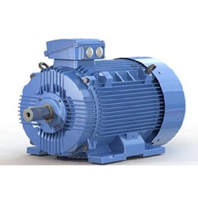 Marathon HV Cage Induction Motors