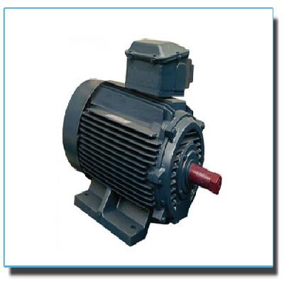 Marathonn KD Series Crane Duty Motors