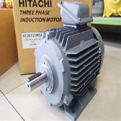 Hitachi induction Motor