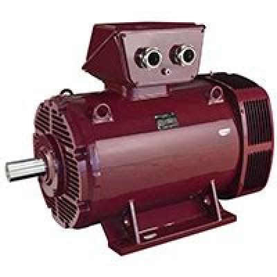  Premium Efficiency Induction Motor