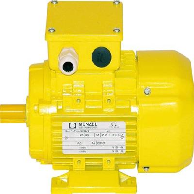 High Efficiency IE2 Squirrel Cage TEFC Motors