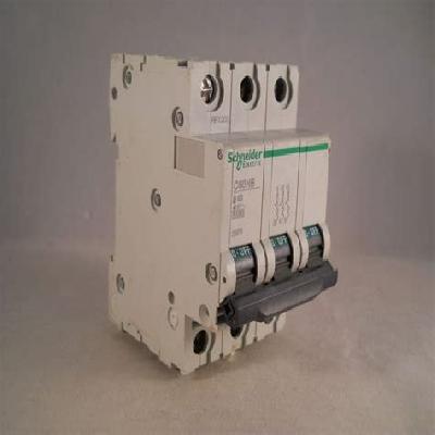 Schneider  Double Pole MCCB